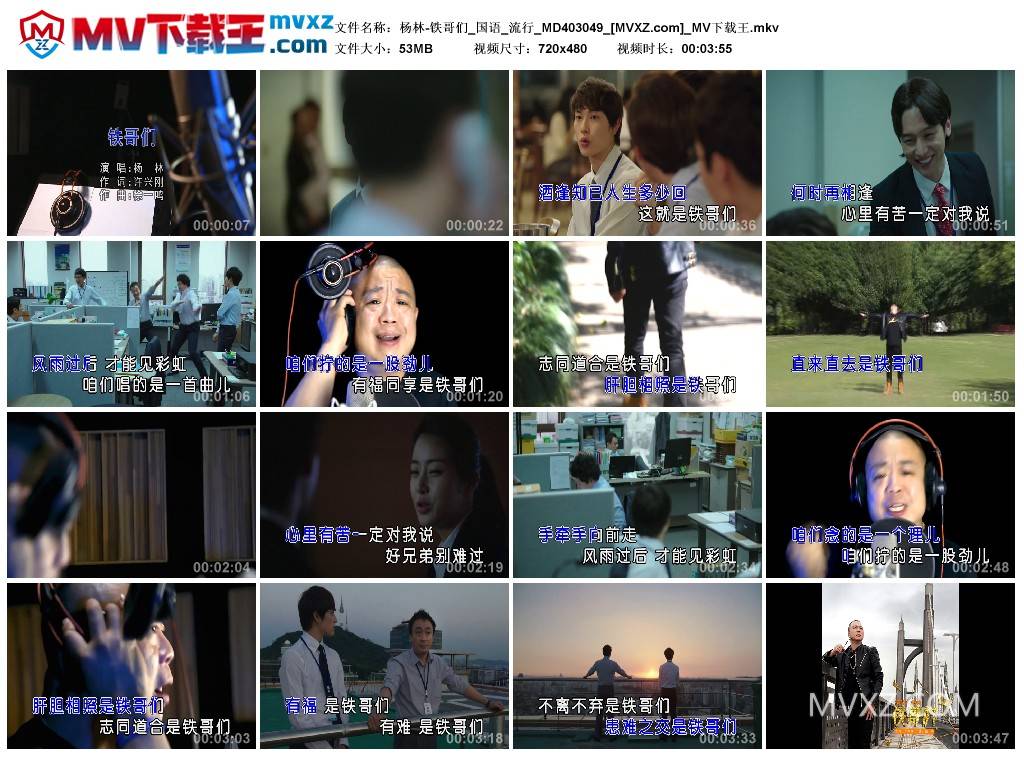 杨林-铁哥们_国语_流行_MD403049